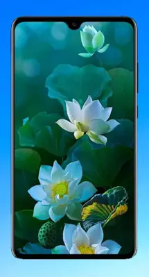 Lotus Wallpaper HD android App screenshot 0