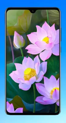 Lotus Wallpaper HD android App screenshot 12