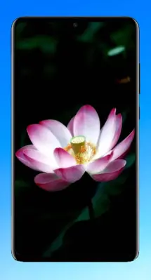 Lotus Wallpaper HD android App screenshot 15