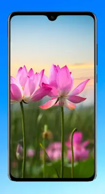 Lotus Wallpaper HD android App screenshot 4