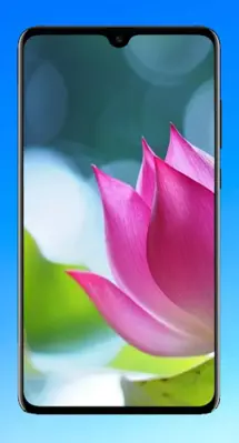 Lotus Wallpaper HD android App screenshot 5